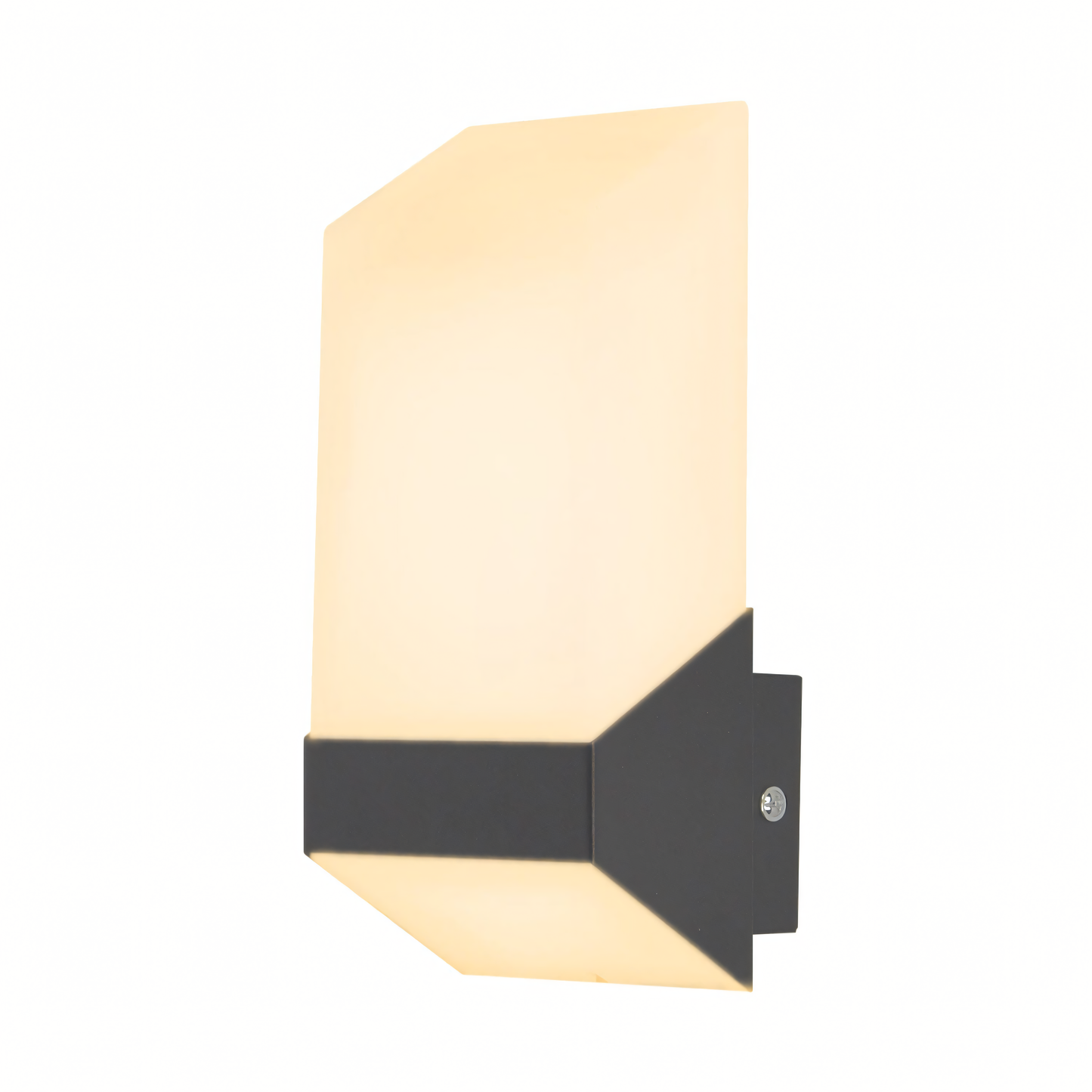 Highlighting intricate details with precision