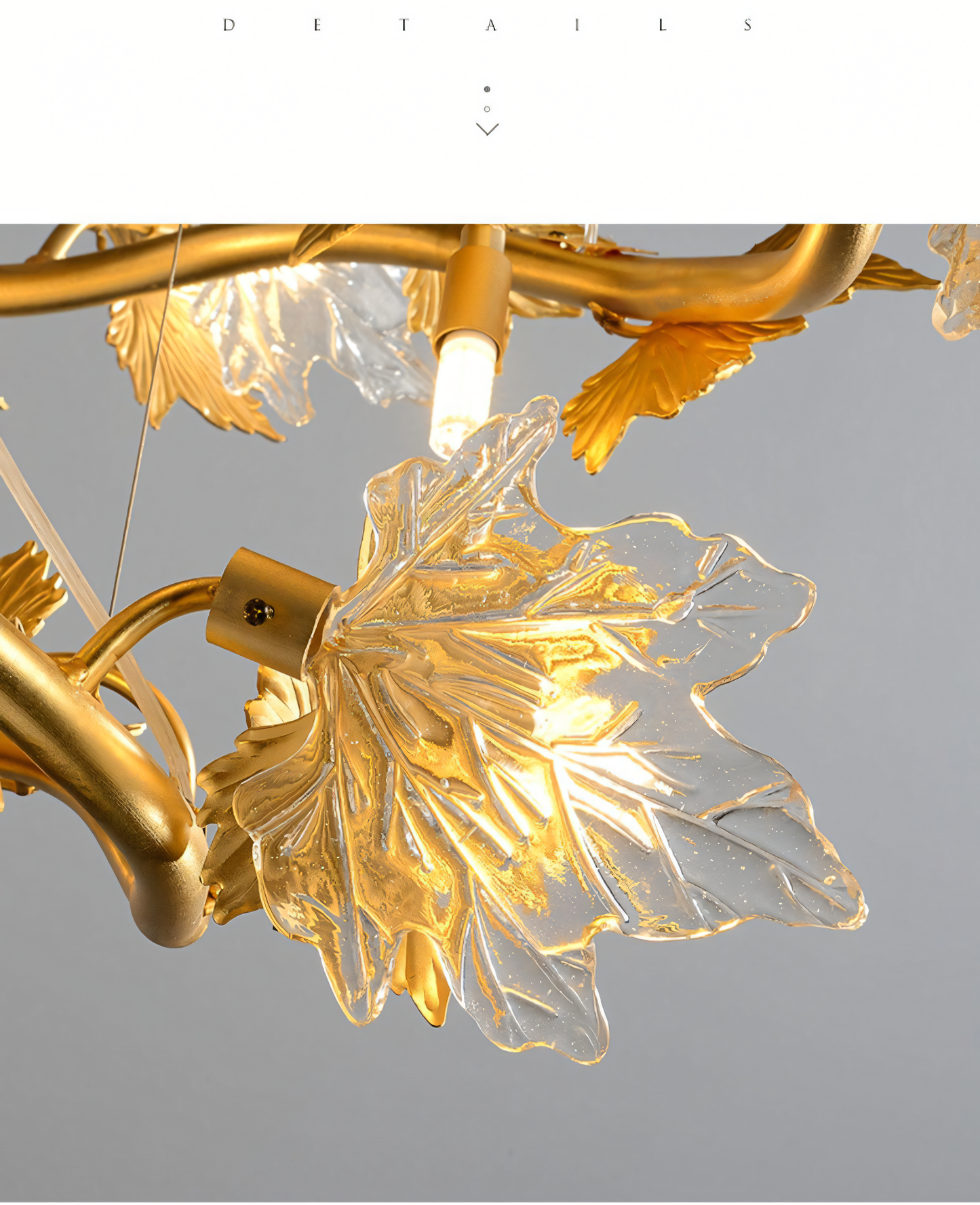 The 600 MM Crystal Gold Metal LED Maple Leaf Chandelier, a forest-inspired centerpiece, hangs above a dining table in a modern home. The chandelier's warm light fills the room.