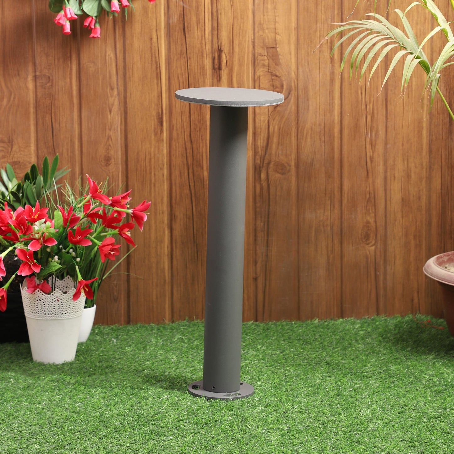 Low-profile circular bollard lights enhancing natural landscapes