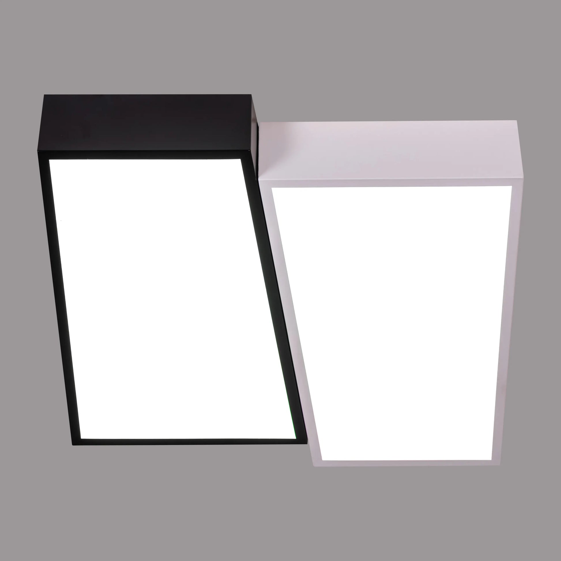 Double Trouble black and white ceiling light with dimmable LED and remote control