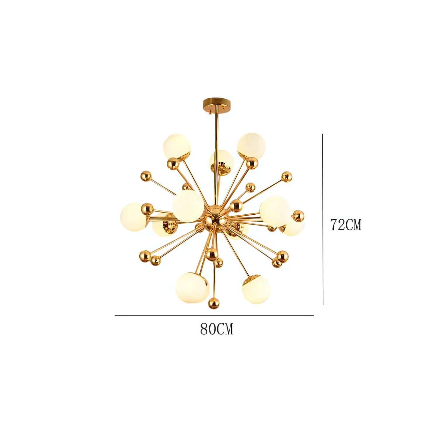 Asteraceae Gold Chandelier