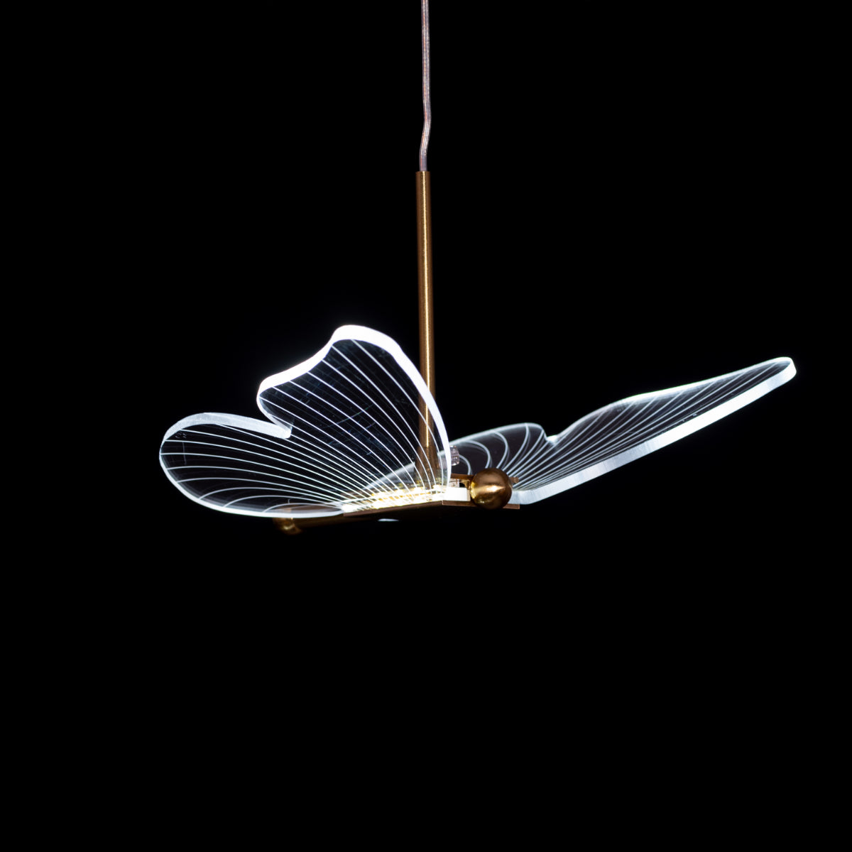 Butterfly Kisses (Medium, Gold, Dimmable LED with Remote Control) Chandelier