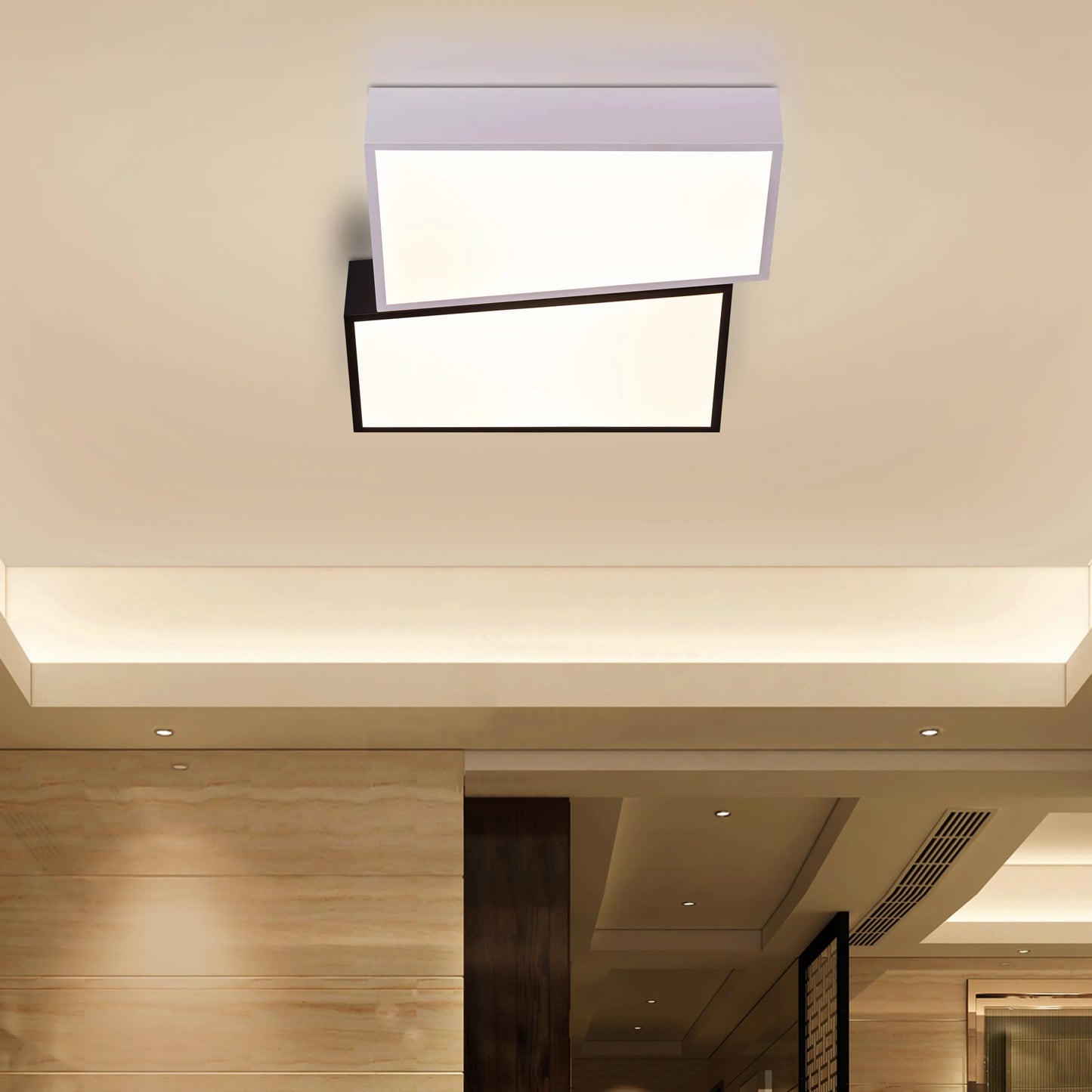 Double Trouble (Black, White, Dimmable LED With Remote Control) Ceiling Light