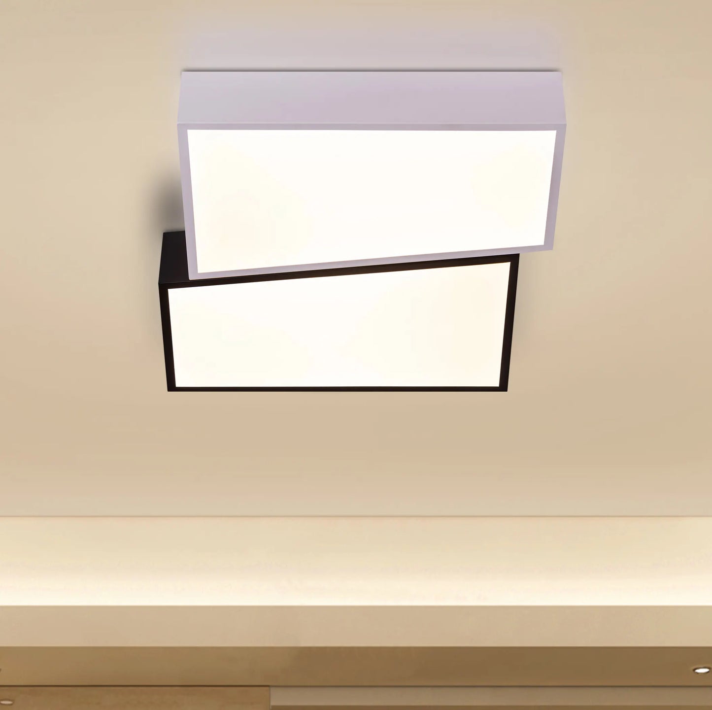 Double Trouble (Black, White, Dimmable LED With Remote Control) Ceiling Light