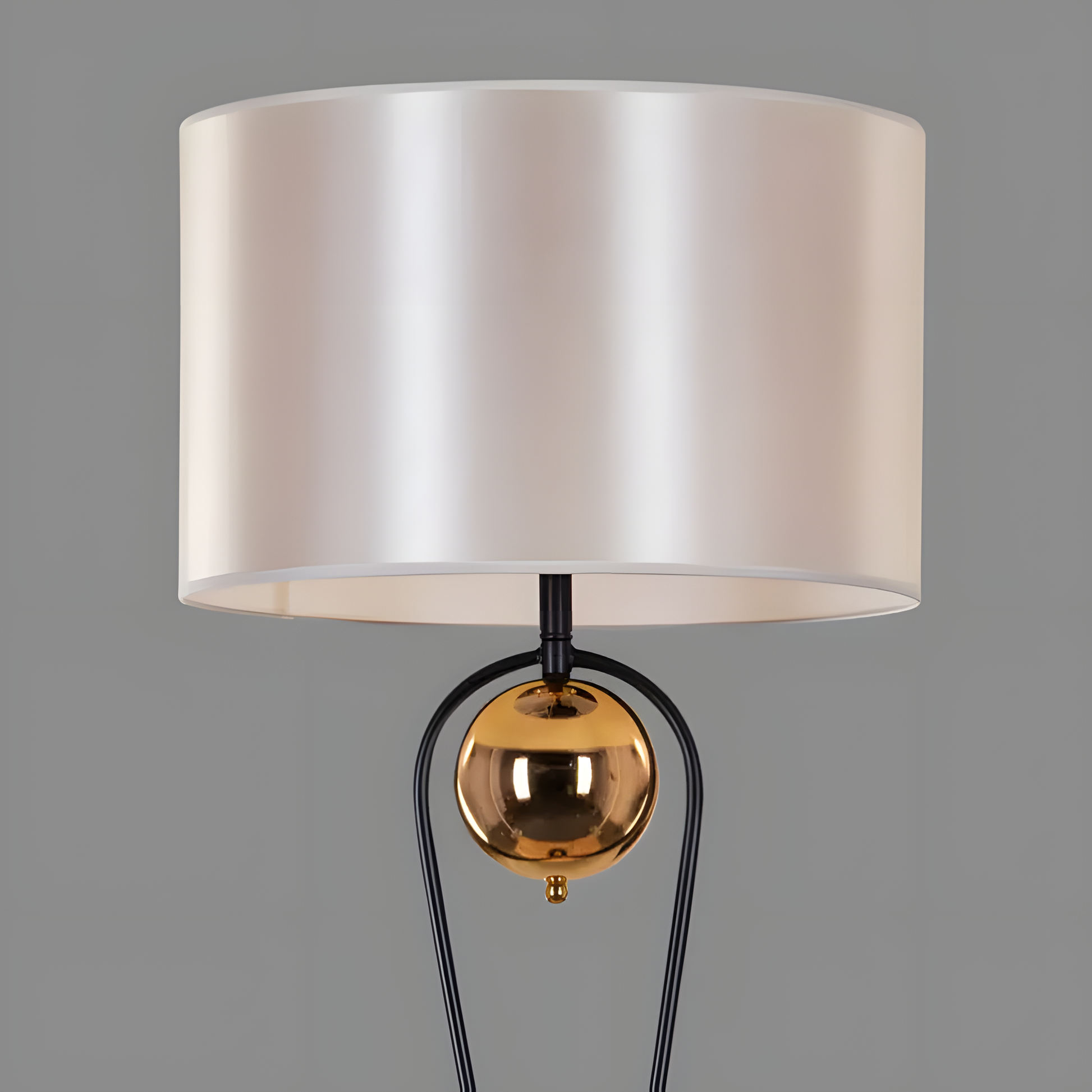 Sophisticated floor lamp with metal frame and gold accents