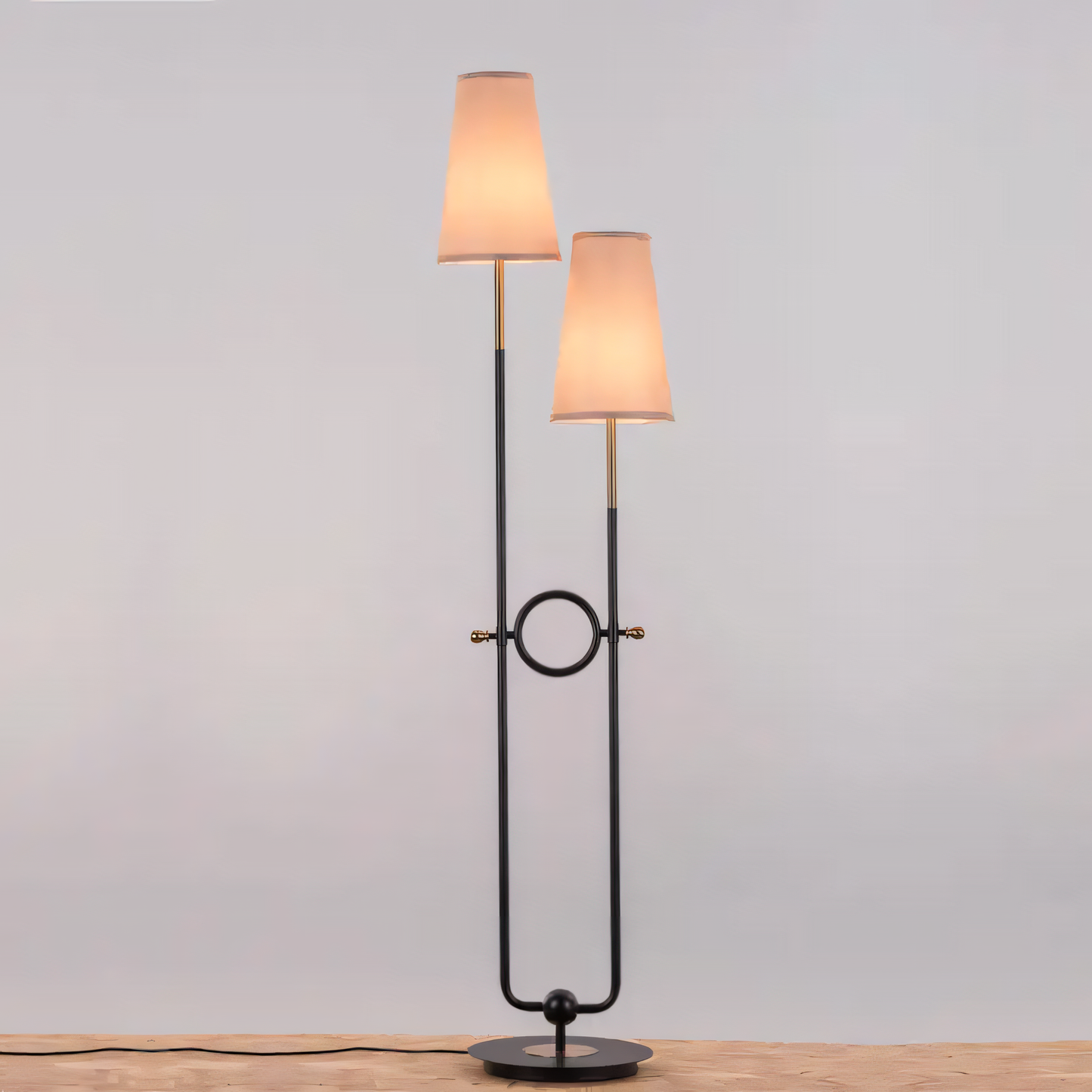 Modern and elegant floor lamp for living room