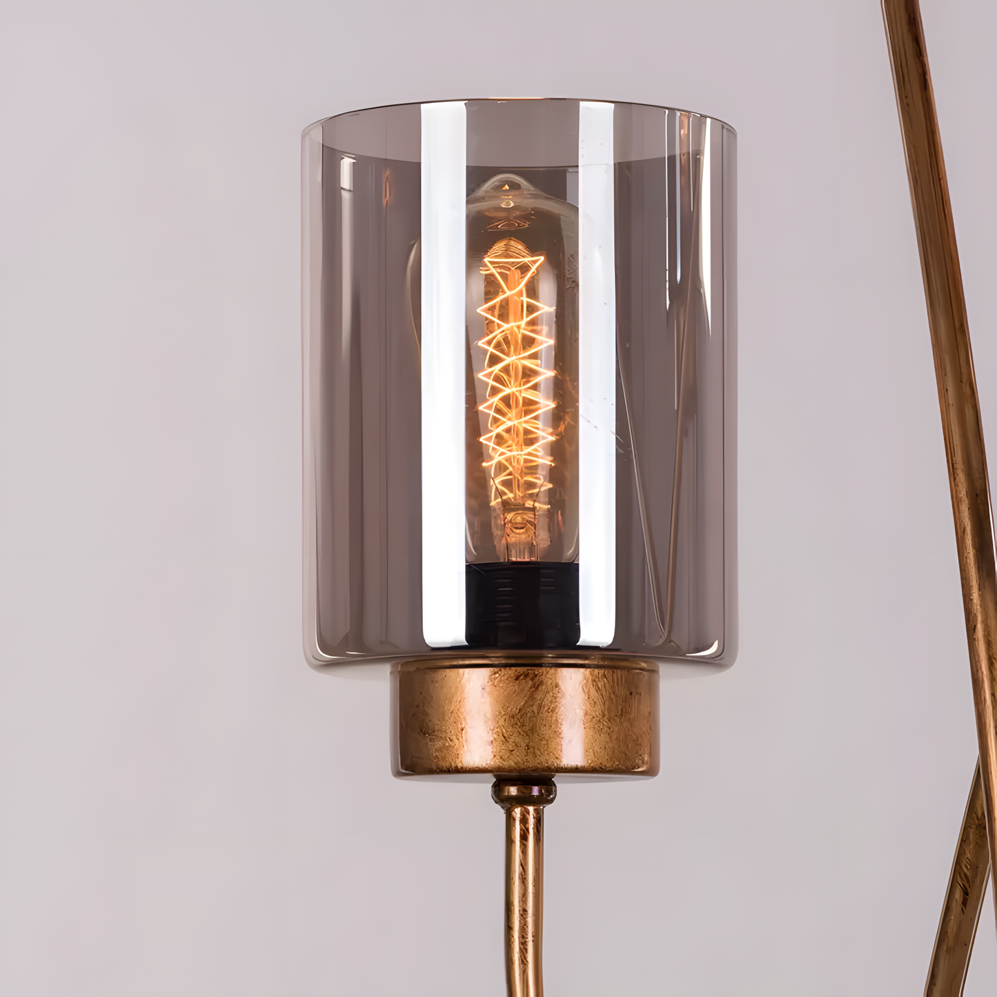 LED floor lamp with adjustable lighting and metal frame