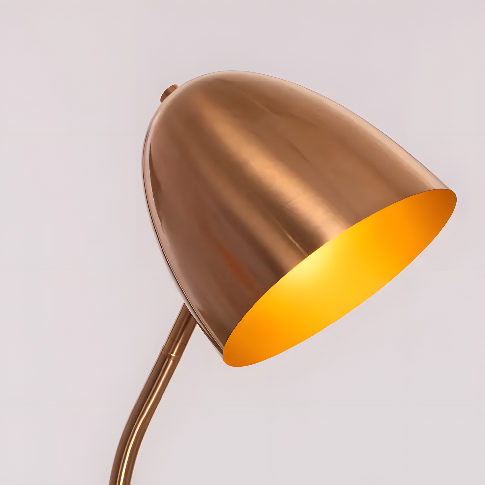 Exceptional craftsmanship and refined elegance of the In My Mind (Gold, White) Floor Lamp